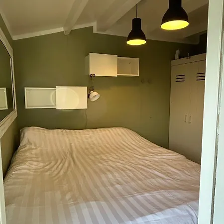 Near Reeuwijkse Plassen Holiday home *