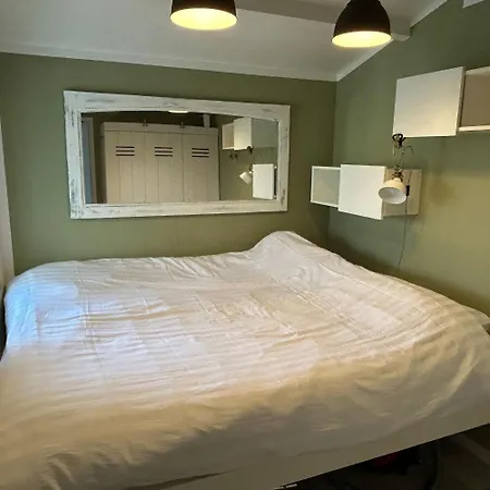 Near Reeuwijkse Plassen