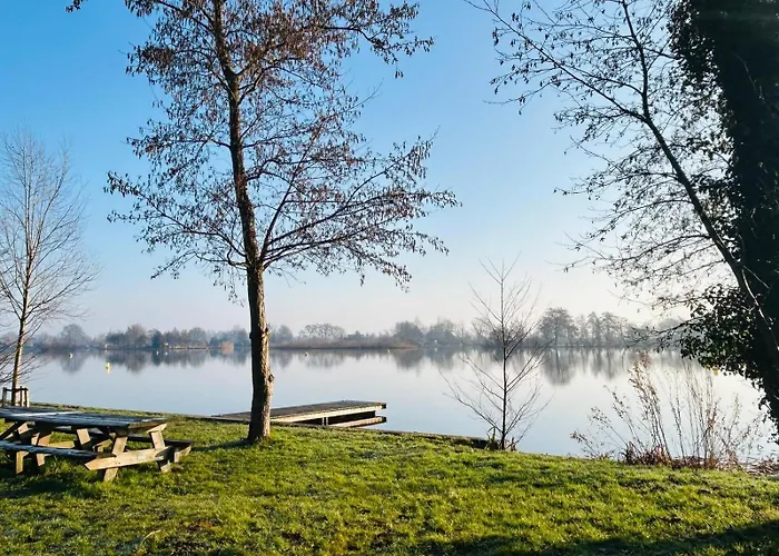 Near Reeuwijkse Plassen Reeuwijk